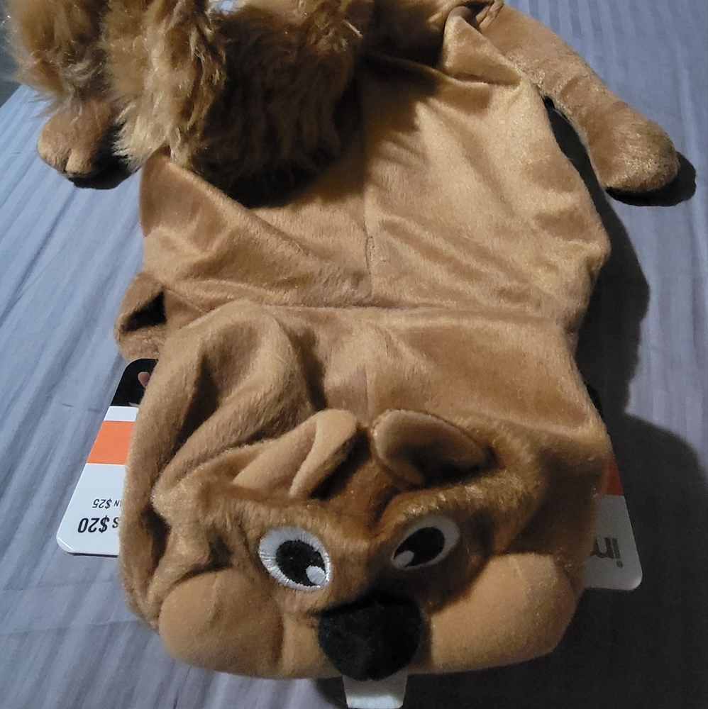 Squirrel Dog Costume